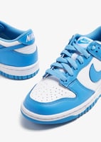 Nike Dunk Low Retro sneakers