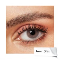 عدسات دايا اليومية بيكان Pecan