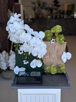 ستاند بالورد