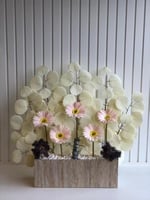 ستاند بالورد