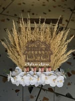 ستاند اكريلك