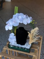 ستاند بالورد