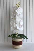 فازة بالورد