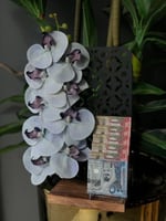 ستاند بالورد