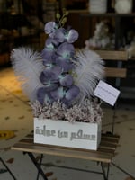 بوكس اكريلك