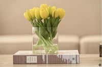 توليب اصفر ملمس طبيعي