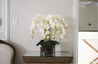 اوركيد 8 اغصان فازة مزينه بالخشب الطبيعي