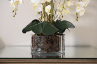 اوركيد 8 اغصان فازة مزينه بالخشب الطبيعي