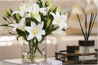 الليليوم كبير