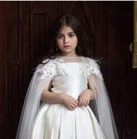 فستان فاخر سكري 2024 ..