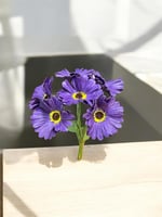 جلبيرا ملمس طبيعي عدد 6