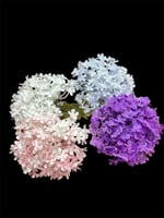 ورد تنسيقات ثلجي ملمس طبيعي 20943