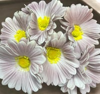 جلبيرا ملمس طبيعي عدد 6