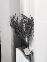 اكسسوار صناعي الوان مجفف 18495