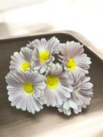 جلبيرا ملمس طبيعي عدد 6