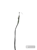 اغصان تنسيق مع خضار خفيف طول متر ونص