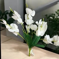 زهرة اوركيد صغير 5 افرع