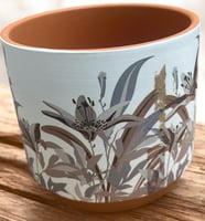 فازات مركن سراميك داخلي بني اشكال