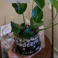 فازة دائرية اسطواني مني240 مل