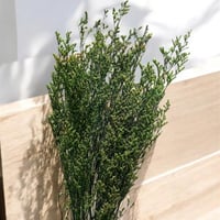 بنش مجفف رووووعة