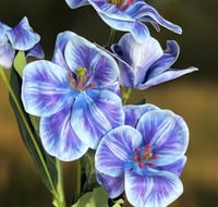 بنش ورد صناعي ملمس طببعي