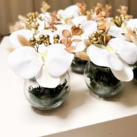 فازة مني دائري شفاف للتوزيعات 5 سم 120 مل