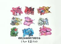 فراشات زينة 12 حبه