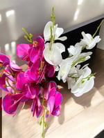 زهرة اوركيد صغير 5 افرع