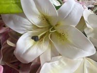 ورد كزابلنكا ملمس طبيعي