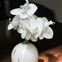 مسكة اوركيد ابيض 6 افرع 25410