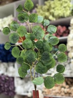 اكليبتوس اغصان تنسيق - صناعي