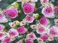 تغليف هدايا ورقي 20 قطعة