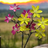 زهرة ساكورا