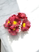 جلبيرا ملمس طبيعي عدد 6