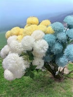 كورة التنسيقات الصناعي