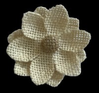 إكسسوارات تغليف فيونكات