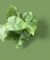 ورق اشجار صناعي شكلين