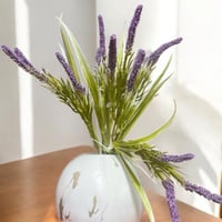 اغصان زهرة لافندر موف 183146