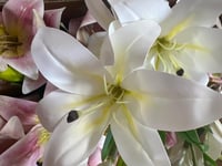 ورد كزابلنكا ملمس طبيعي