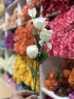 استوما ابيض صناعي