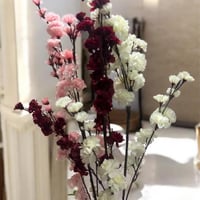 ازهار تنسق ساق طويل