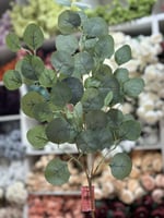 اكليبتوس اغصان تنسيق - صناعي