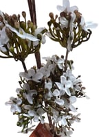 ازهار تنسيق صناعي ثلاث الوان 99-7