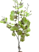 دلفينيوم صناعي ثلاث الوان