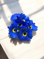 جلبيرا ملمس طبيعي عدد 6