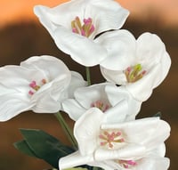 بنش ورد صناعي ملمس طببعي