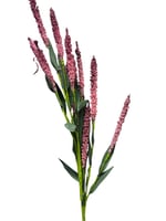 لافندر صناعي قطع فلين