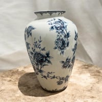 فازة نوفا جريئة… لمحبي التميّز لونين