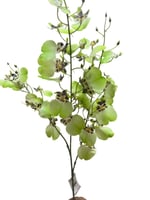 دلفينيوم صناعي ثلاث الوان