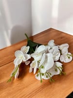 زهرة اوركيد صغير 5 افرع